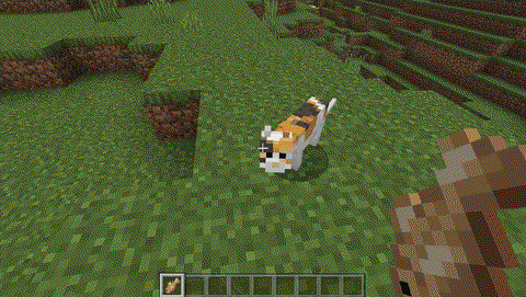 我的世界猫有什么用处[图2]