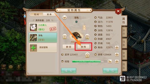 问道手游掠阵什么意思[图1]