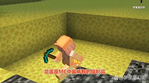 我的世界怎么捡龙蛋